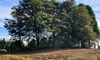 PARCELA, AVELLANOS DE TRAPEN, PUERTO MONTT
