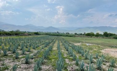 SE VENDE TERRENO EN SANTA MARIA EL TULE