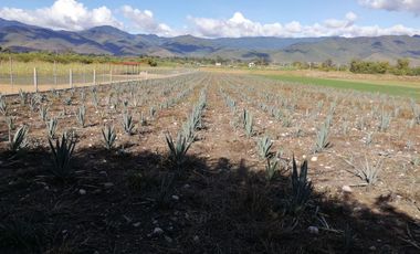 SE VENDE TERRENO EN SANTA MARIA EL TULE