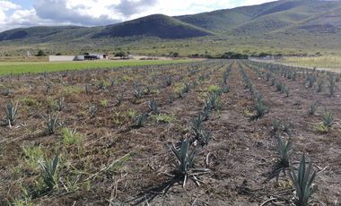 SE VENDE TERRENO EN SANTA MARIA EL TULE