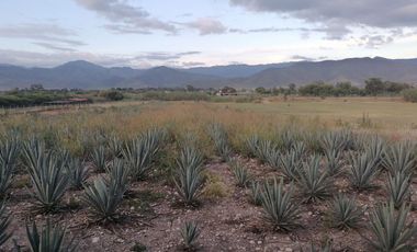SE VENDE TERRENO EN SANTA MARIA EL TULE