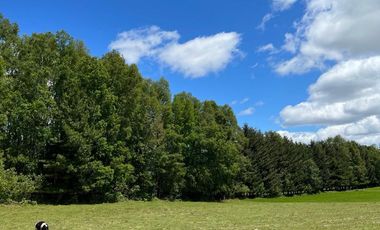 2 HA DE LINDAS PRADERAS EN SECTOR NANCAHUE, LONCOCHE