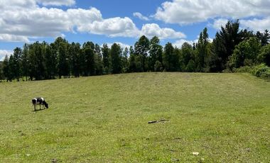 2 HA DE LINDAS PRADERAS EN SECTOR NANCAHUE, LONCOCHE