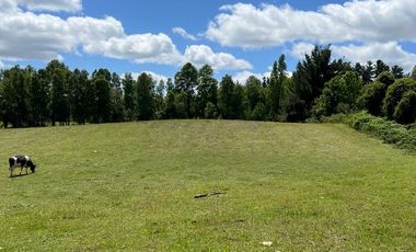 2 HA DE LINDAS PRADERAS EN SECTOR NANCAHUE, LONCOCHE