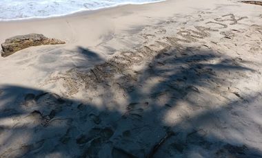 SE VENDE HOTEL A 300 MTS DE LA PLAYA EN PALOMINO COLOMBIA