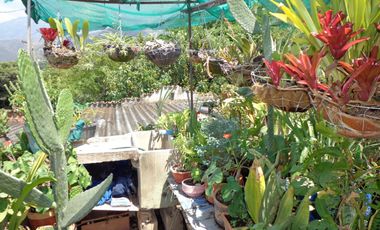 VENTA EXCELENTE CASA EN BARRIO BOSQUE NORTE DIVIDIDA EN 2 APTOS