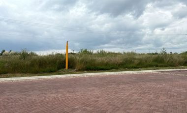 EXCELENTE TERRENO COMERCIAL EN RENTA JUSTO FRENTE AL SOMNUS DENTRO DE CIUDAD MADERAS IDEAL PARA FARMACIAS O TIENDAS DE AUTOSERVICIO