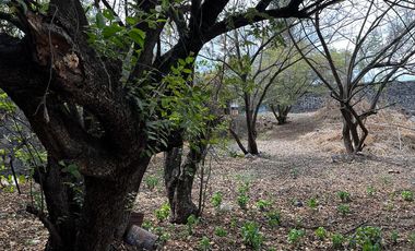 Terreno en venta Rio Tamazula, Vista Hermosa, Cuernavaca, Morelos.