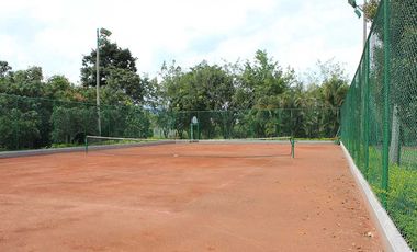 TE RENTO LINDA FINCA EN PALMIRA ATALAYA LLAMANOS AL3022007433 DIRECTOS PROPIETARIOS SIN INTERMEDIARIOS...