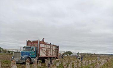 RANCHO 8.5 HECTAREAS AGRICOLAS CARRETERA DOLORES-SAN LUIS DE LA PAZ CON POZO, CONCESION DE AGUA