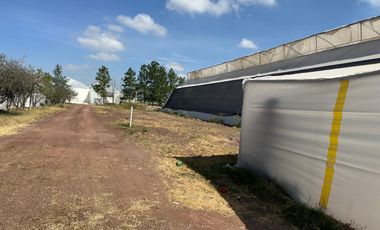RANCHO 8.5 HECTAREAS AGRICOLAS CARRETERA DOLORES-SAN LUIS DE LA PAZ CON POZO, CONCESION DE AGUA
