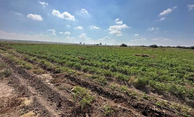 RANCHO 8.5 HECTAREAS AGRICOLAS CARRETERA DOLORES-SAN LUIS DE LA PAZ CON POZO, CONCESION DE AGUA