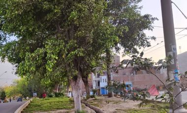 🎯🎯 VENTA DE TERRENO EN LURIGANCHO CHOSICA - URB. LAS TERRAZAS DE CARAPONGO🌞🌞🌳🌳