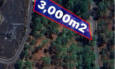CABAÑAS EN VENTA EN TAPALPA