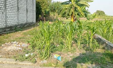 Tanah Murah Menganti Dijual Cepat