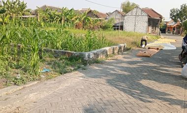 Tanah Murah Menganti Dijual Cepat