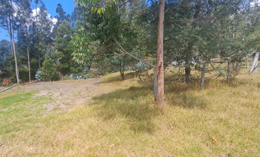 Terreno en Venta, Zumbahuaico, Azogues