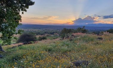 TEPOZTLÁN TERRENO EN VENTA SOBRE CARRETERA FEDERAL 1,175 M2