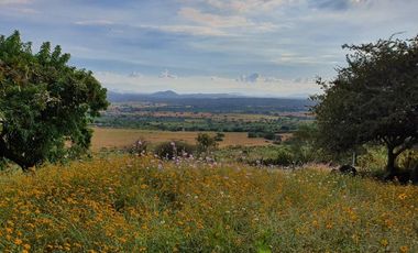 TEPOZTLÁN TERRENO EN VENTA SOBRE CARRETERA FEDERAL 1,175 M2