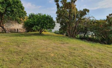 TEPOZTLÁN TERRENO EN VENTA SOBRE CARRETERA FEDERAL 1,175 M2