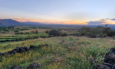 TEPOZTLÁN TERRENO EN VENTA SOBRE CARRETERA FEDERAL 1,175 M2