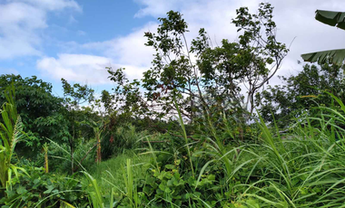 FOR SALE - Lot in Alaminos, Laguna