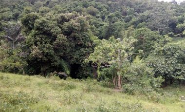 FOR SALE - Lot in Alaminos, Laguna