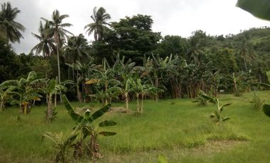 FOR SALE - Lot in Alaminos, Laguna