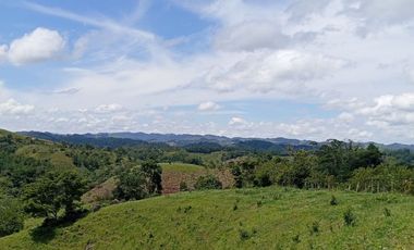 Venta Finca Ganadera en Caracolí Antioquia