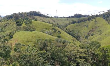 Venta Finca Ganadera en Caracolí Antioquia
