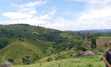 Venta Finca Ganadera en Caracolí Antioquia