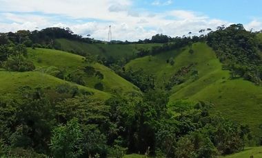 Venta Finca Ganadera en Caracolí Antioquia