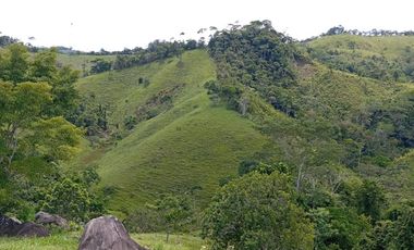 Venta Finca Ganadera en Caracolí Antioquia