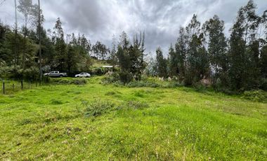 Venta de terreno con 3933m2- ubicado en la Dolorosa- Solano