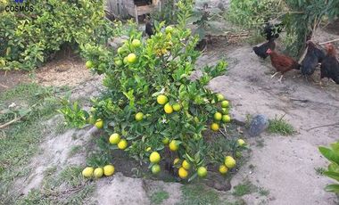 Venta de terreno con mediaguas en Otavalo sector La Magdalena, 800 m2