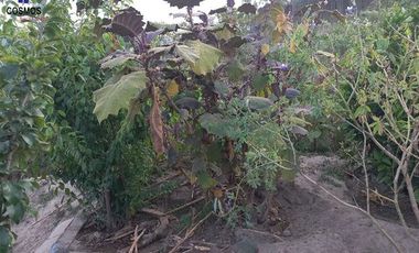 Venta de terreno con mediaguas en Otavalo sector La Magdalena, 800 m2