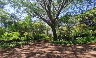 Terreno en venta en Tepoztlán Morelos