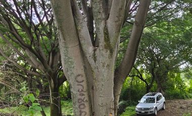 Terreno en venta en Tepoztlán Morelos
