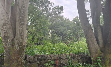 Terreno en venta en Tepoztlán Morelos