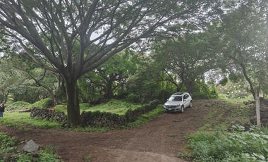 Terreno en venta en Tepoztlán Morelos