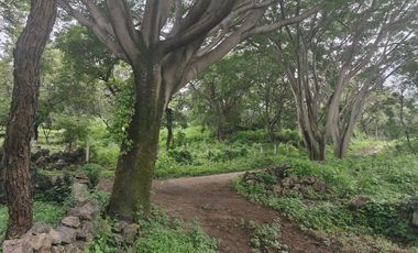 Terreno en venta en Tepoztlán Morelos