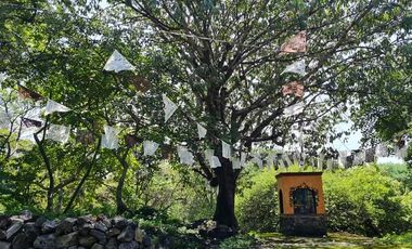 Terreno en venta en Tepoztlán Morelos