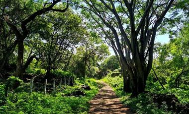 Terreno en venta en Tepoztlán Morelos