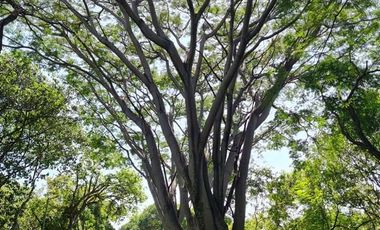 Terreno en venta en Tepoztlán Morelos