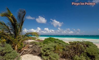 Venta de local comercial en desarrollo residencial, Región 11, Tulum