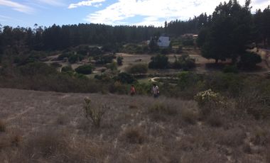 Venta terrreno parcela sector Algarrobo el Yeco