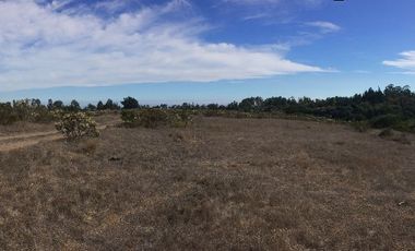 Venta terrreno parcela sector Algarrobo el Yeco