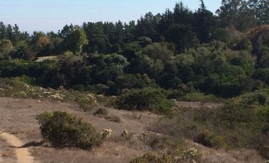 Venta terrreno parcela sector Algarrobo el Yeco