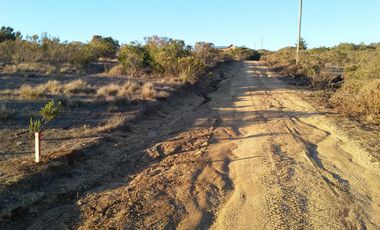 Venta terrreno parcela sector Algarrobo el Yeco