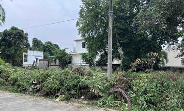NEGOTIABLE CORNER LOT for Sale in Marian Lakeview Subdivision